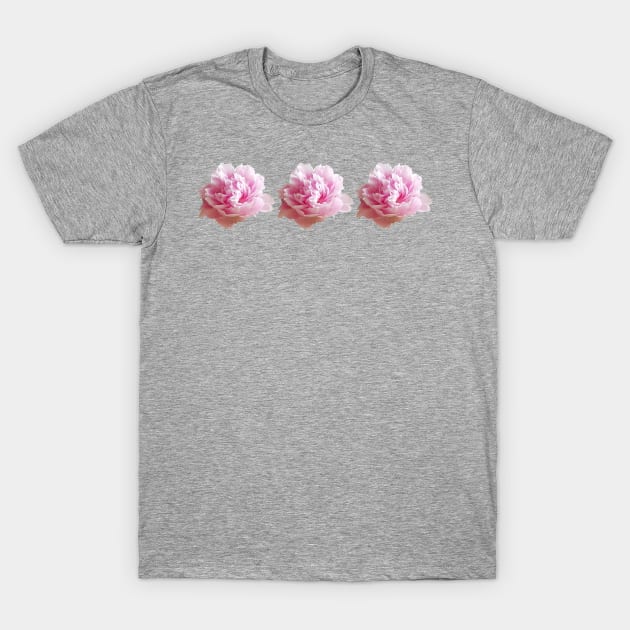 Three Pink Peony Flower Photos T-Shirt by ellenhenryart